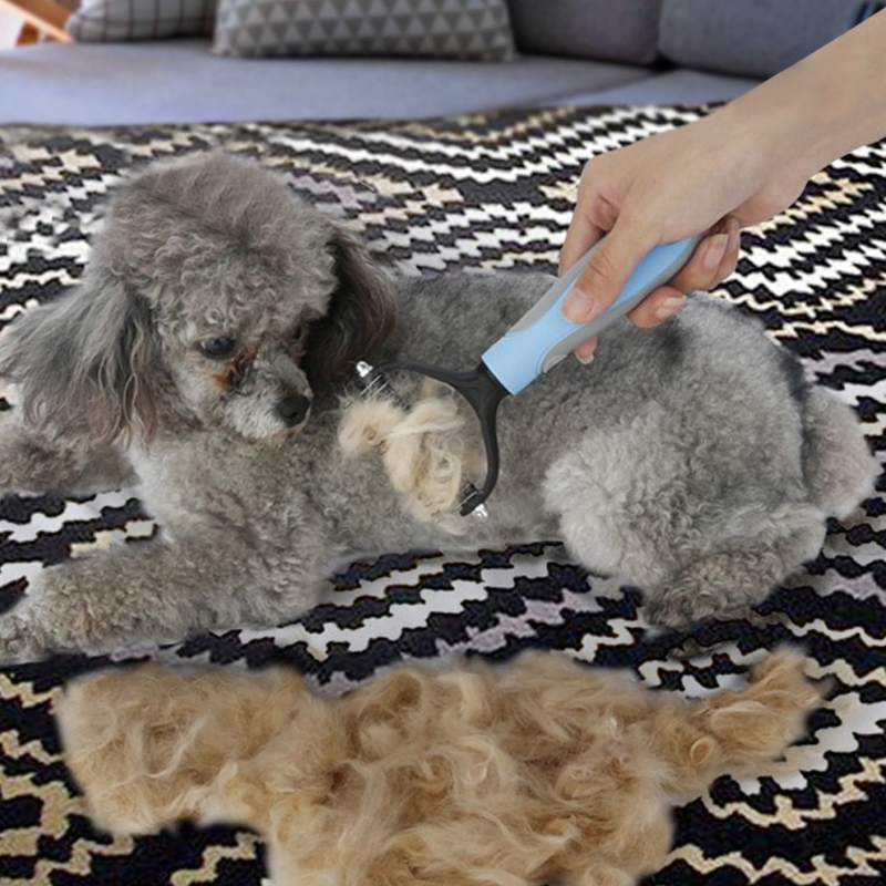 Escova Removedora de Pelos para Pet